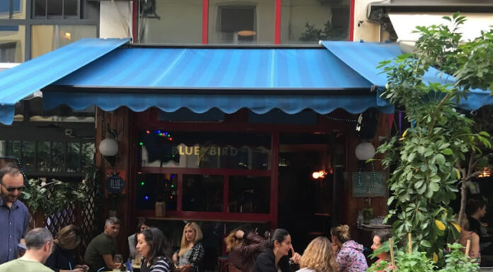 Un trago en Blue Bird